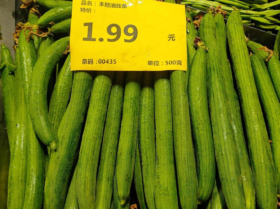 明日之后水果蔬菜采购指南:探寻最新鲜食材的所在地