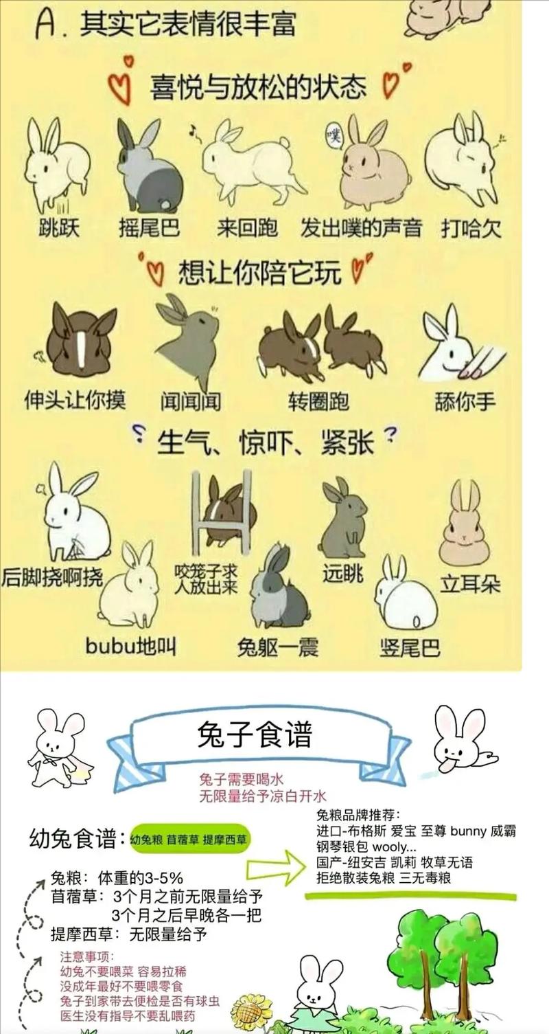 老师两个大兔子抖来抖去视频,带你感受前所未有的视觉体验