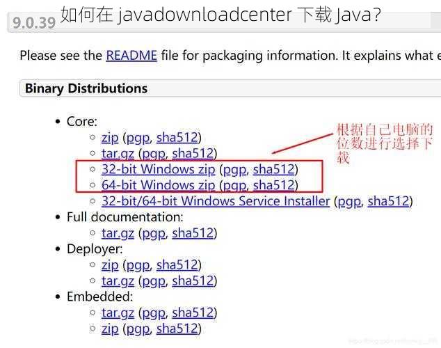 如何在 javadownloadcenter 下载 Java?