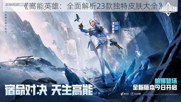 《高能英雄:全面解析23款独特皮肤大全》