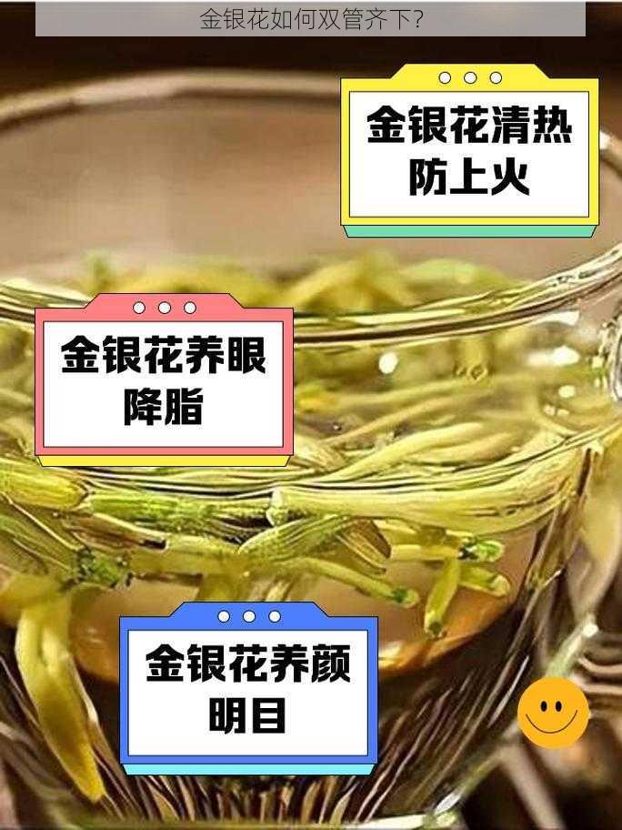 金银花如何双管齐下?