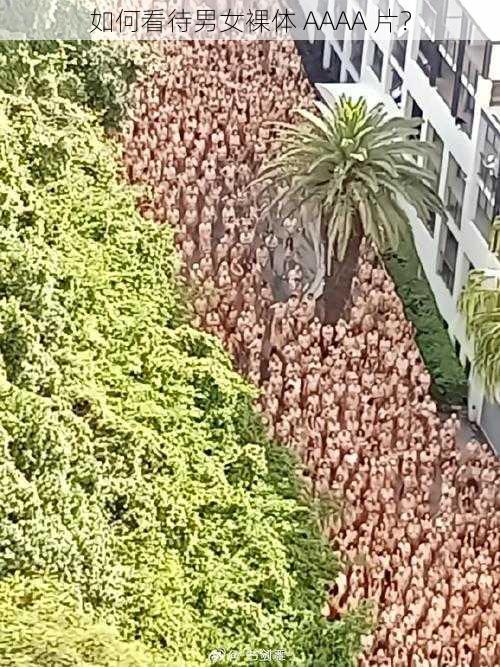 如何看待男女裸体 AAAA 片?