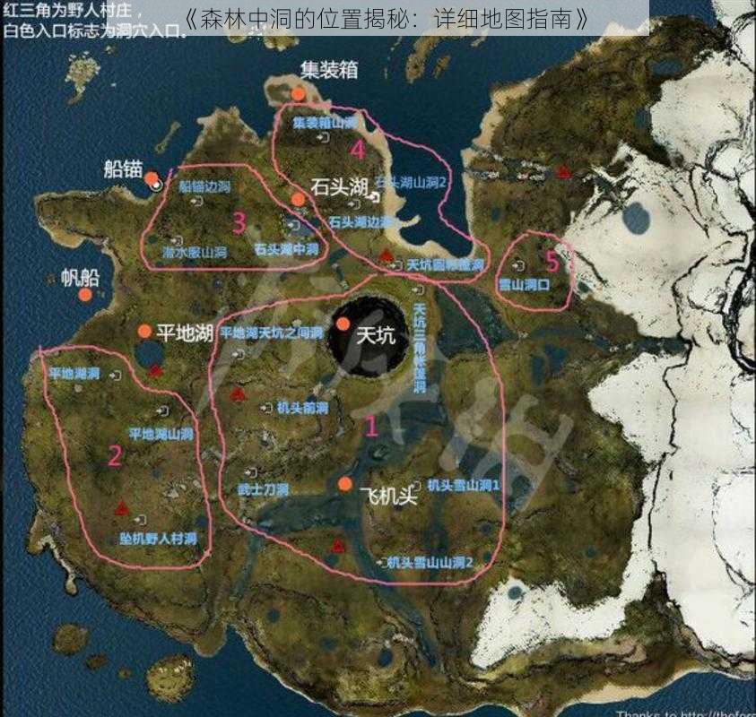 《森林中洞的位置揭秘:详细地图指南》