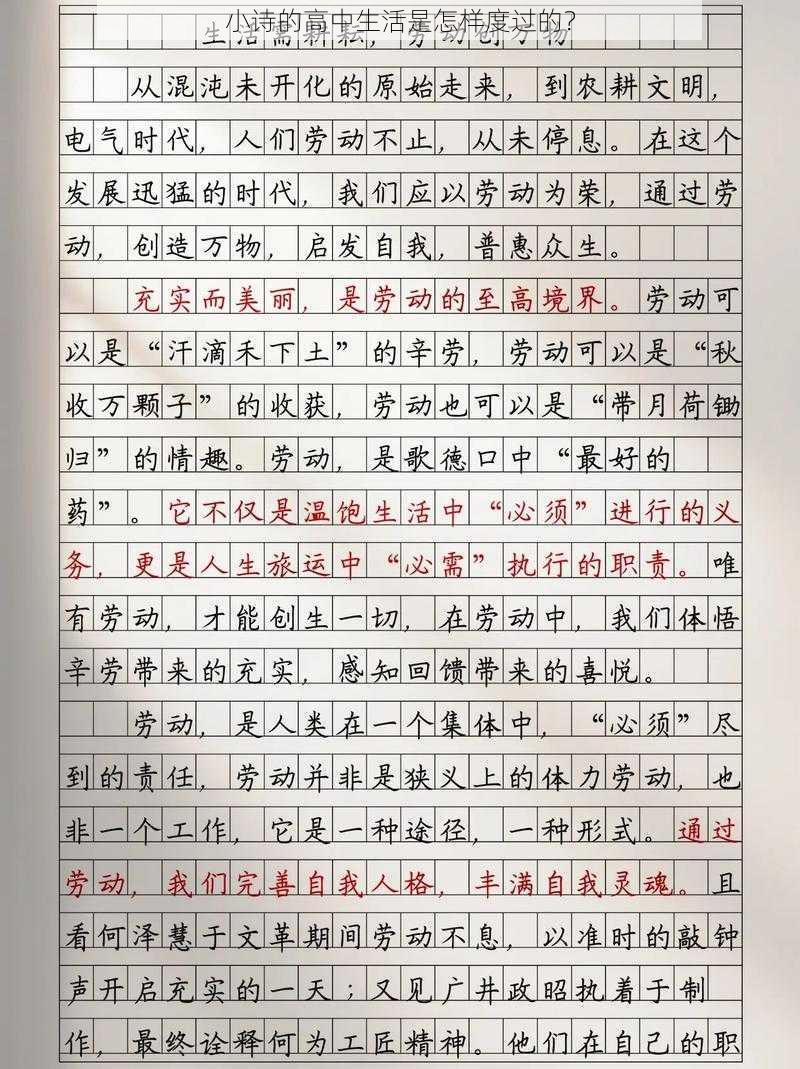 小诗的高中生活是怎样度过的?