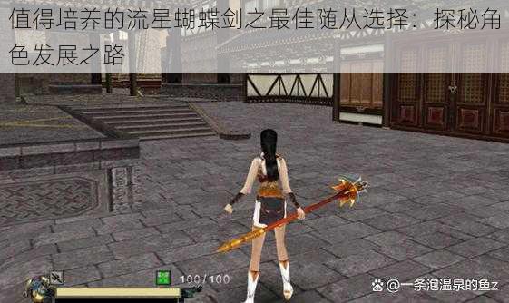 值得培养的流星蝴蝶剑之最佳随从选择:探秘角色发展之路