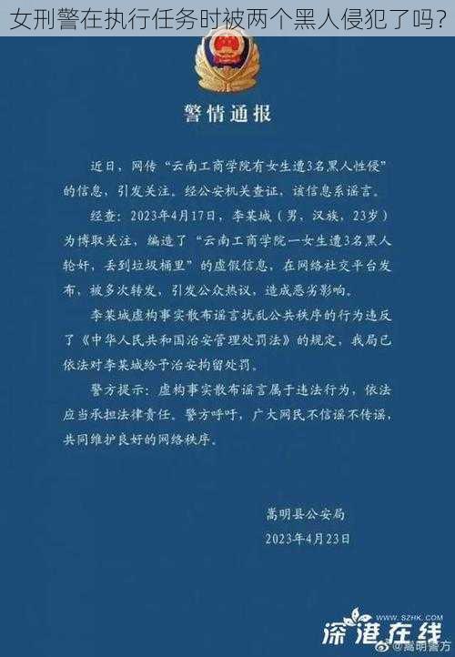 女刑警在执行任务时被两个黑人侵犯了吗?
