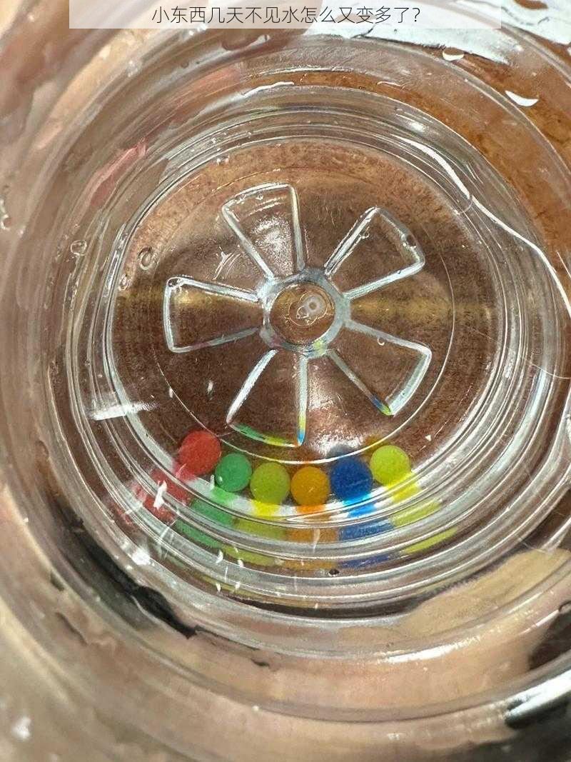 小东西几天不见水怎么又变多了?