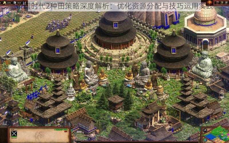 帝国时代2种田策略深度解析:优化资源分配与技巧运用实践