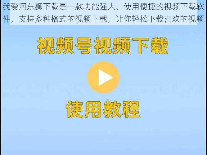 我爱河东狮下载是一款功能强大、使用便捷的视频下载软件,支持多种格式的视频下载,让你轻松下载喜欢的视频