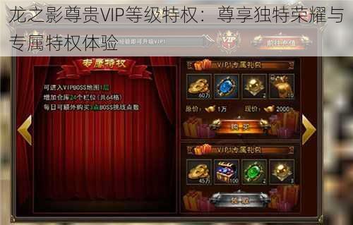 龙之影尊贵VIP等级特权:尊享独特荣耀与专属特权体验