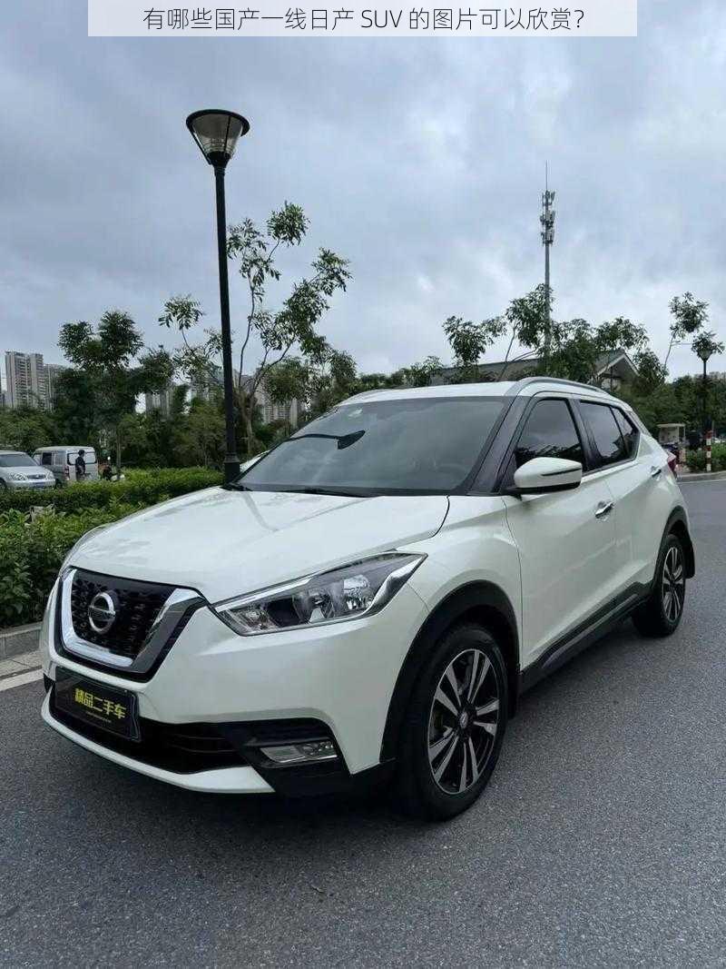 有哪些国产一线日产 SUV 的图片可以欣赏?