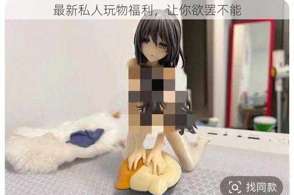 最新私人玩物福利,让你欲罢不能