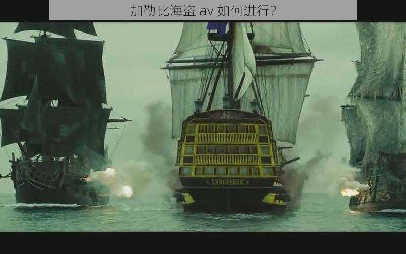 加勒比海盗 av 如何进行?