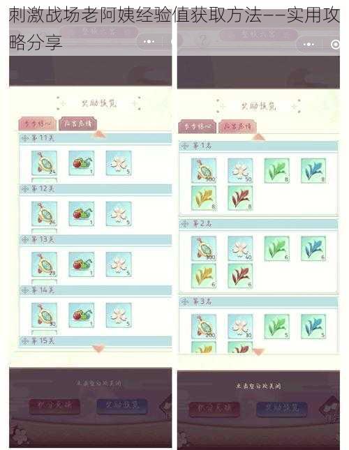 刺激战场老阿姨经验值获取方法——实用攻略分享