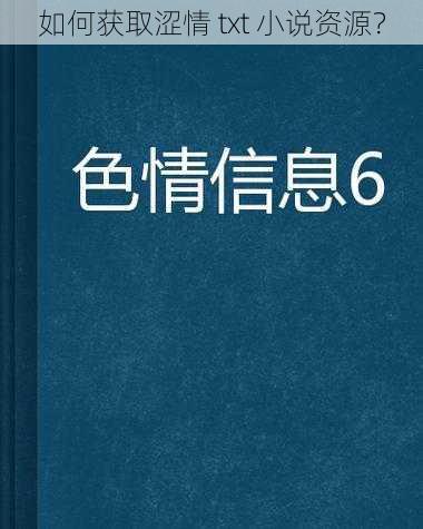 如何获取涩情 txt 小说资源?