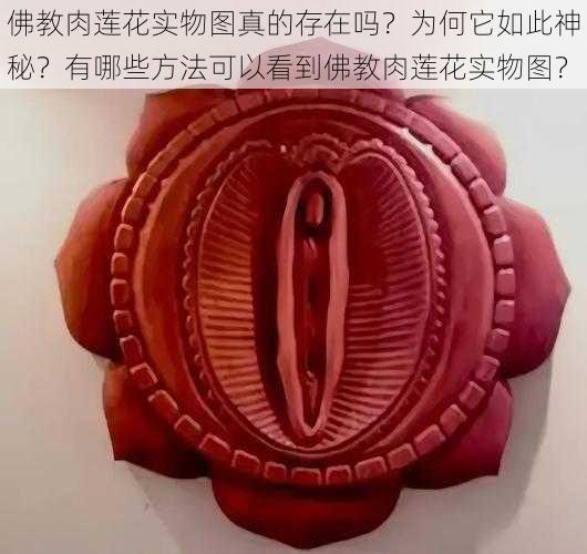 佛教肉莲花实物图真的存在吗?为何它如此神秘?有哪些方法可以看到佛教肉莲花实物图?