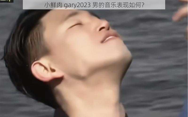小鲜肉 gary2023 男的音乐表现如何?