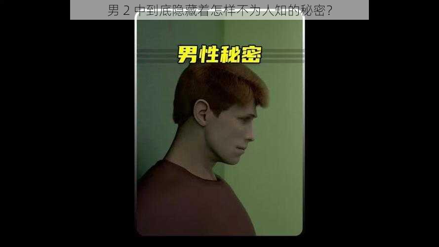 男 2 中到底隐藏着怎样不为人知的秘密?