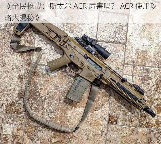 《全民枪战:斯太尔 ACR 厉害吗? ACR 使用攻略大揭秘》