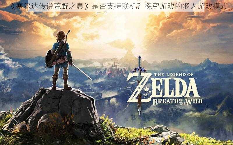 《塞尔达传说荒野之息》是否支持联机?探究游戏的多人游戏模式